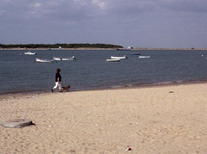 Río Guadalquivir a su paso por Sanlúcar de Barrameda (Cádiz)