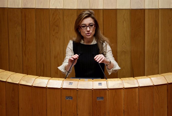 marta fernandez curras comparece no pleno do parlamentofoto: ana varela