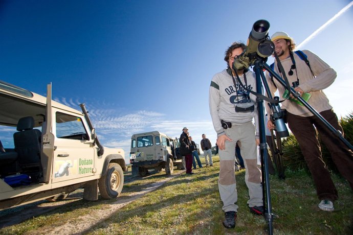 Observatorio de aves