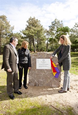 Fosa de El Pinar de Salinas en Castrillón