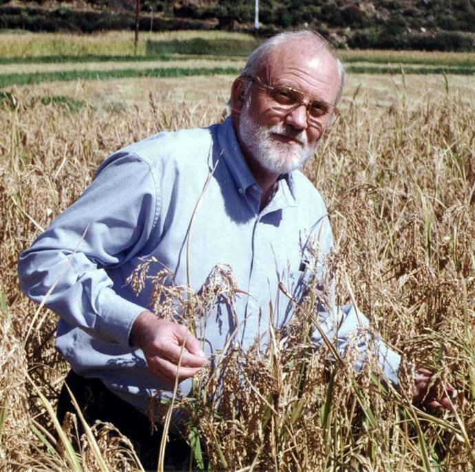 El director general del IRRI, el profesor Robert Zeigler, en un campo de arroz