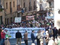 Cerca de 500 ganaderos se manifiestan en Toledo para pedir un plan de rescate para el sector