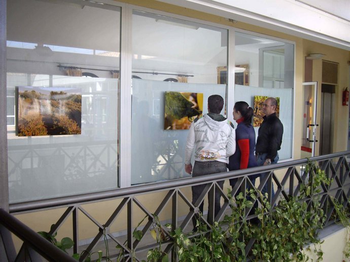 Exposición de la Fundación Doñana 21