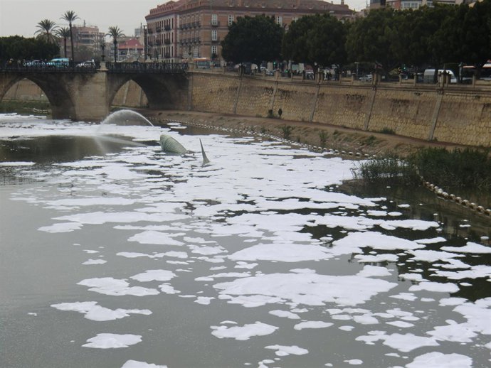 Espuma en el río Segura