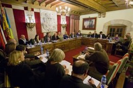 Pleno Ayuntamiento Camargo