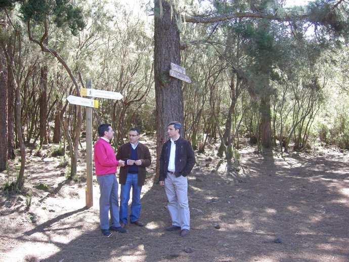 Concejales de la Orotava visitan la zona donde irá el parque forestal 