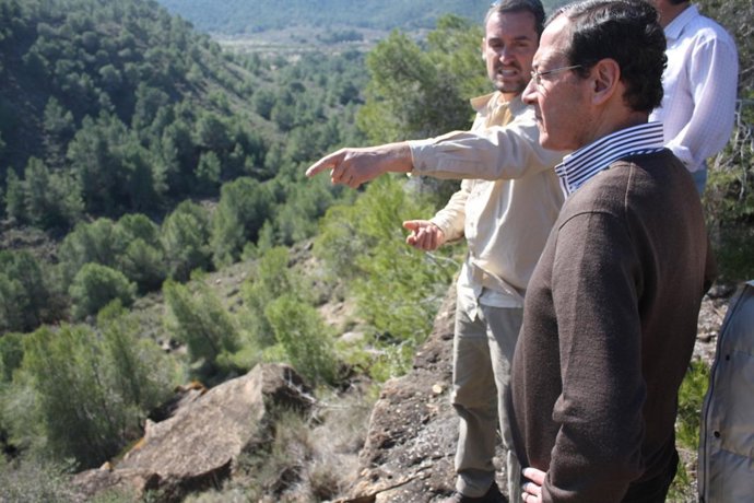 Cámara visita la superficie forestal