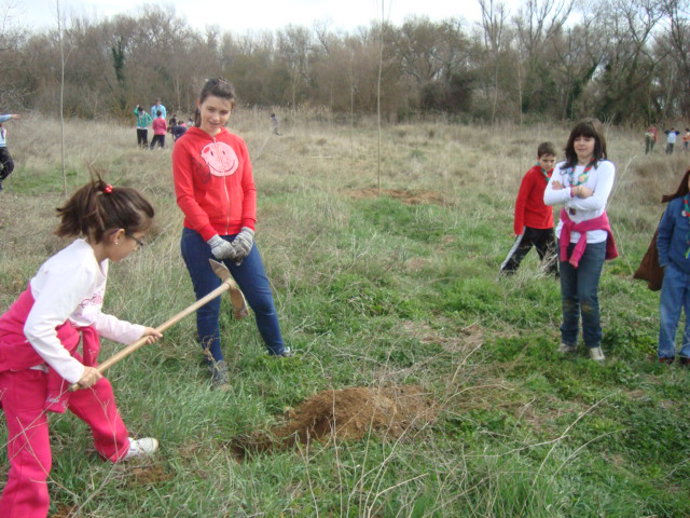 Plantación Popular En Logroño (Barrigüelo)