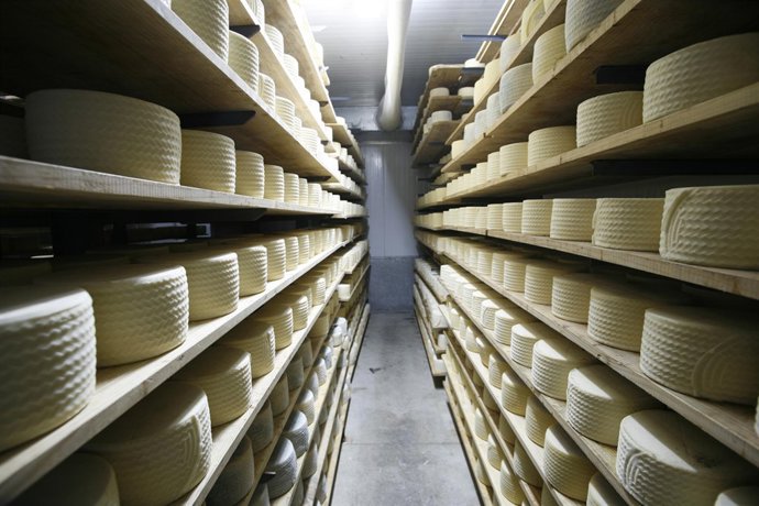 Los Quesos Andaluces