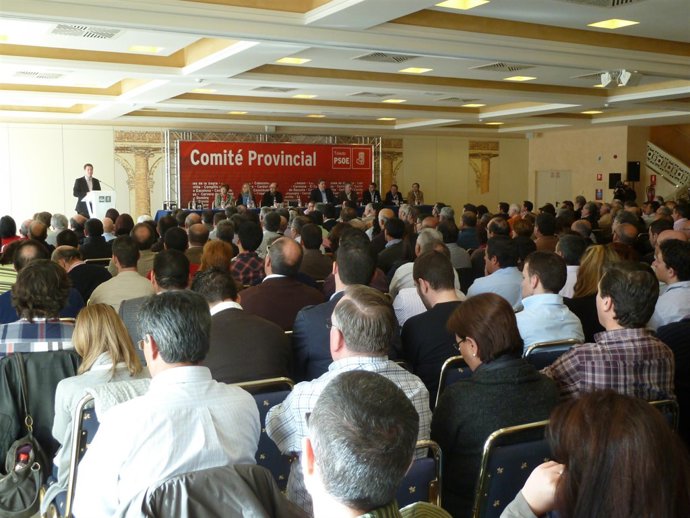 comite provincial del psoe