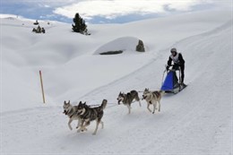 Campeonato de España de trineos