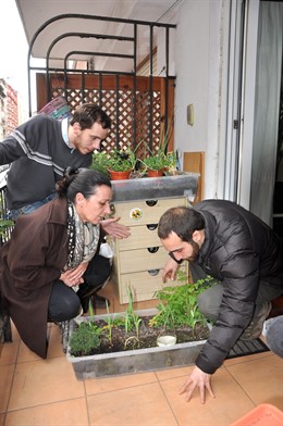 Huertos en terrazas en Santander