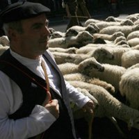 Agro.- L'Escola de Pastors de Catalunya comença el curs amb la meitat d'alumnes que l'any passat