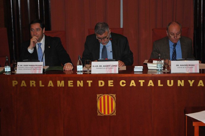 El conseller de Agricultura, Josep Maria Pelegrí