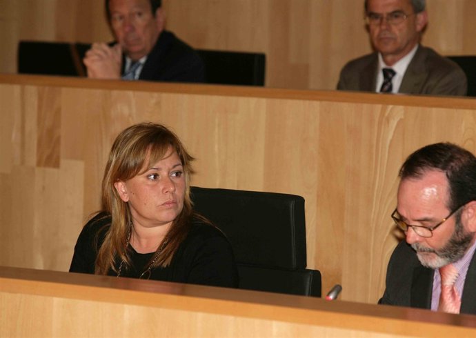 Miembros del equipo de la Diputación, durante la celebración del pleno
