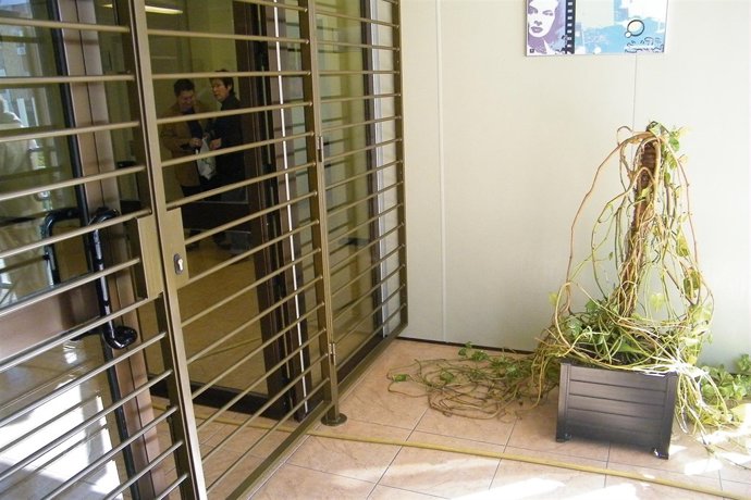 Reja de acceso al centro de salud mental del Polígono Norte