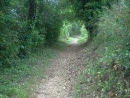 Imagen de la Sierra de Aracena, en Huelva
