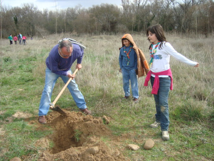 Plantación Popular En Logroño (Barrigüelo)