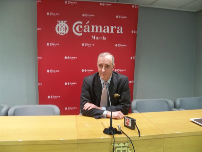 El presidente ejecutivo de Freemarket Corporate Intelligence, Lorenzo Bernaldo d