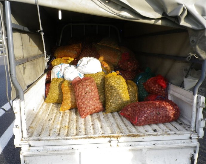 UN OPERATIVO DESENVOLVIDO NA AG 52SÁLDASE CO COMISO DE MÁIS DE 2,5 TONELADAS DE 