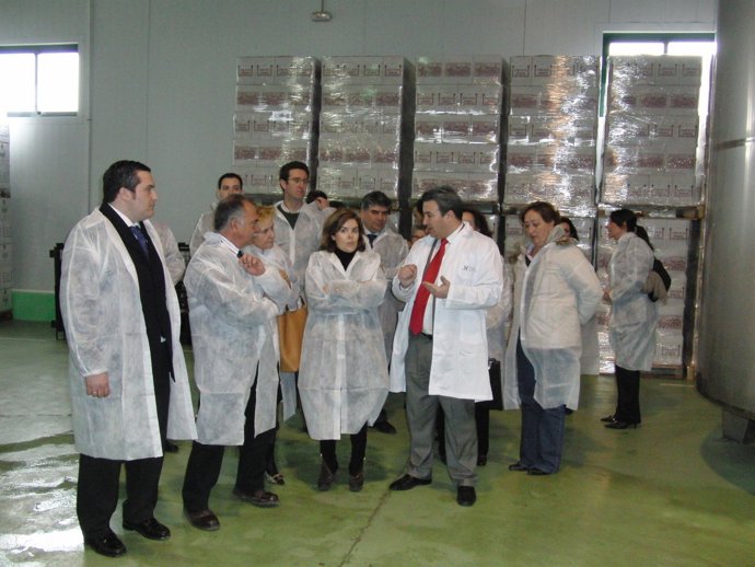 Saén de Santamaría en Valdepeñas (Ciudad Real)