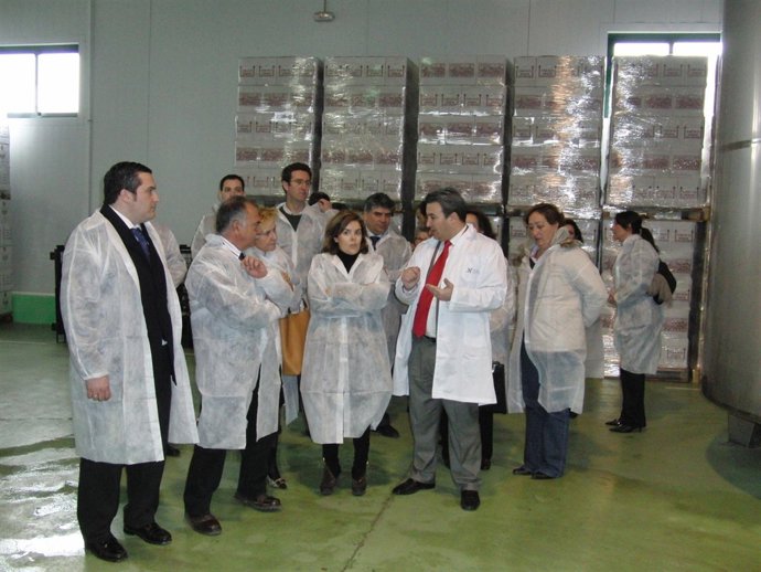 Saén de Santamaría en Valdepeñas (Ciudad Real)