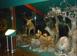 Museo de la Naturaleza de Cantabria