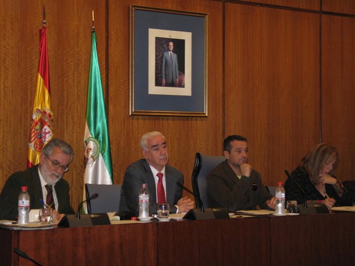 El consejero de Turismo, Comercio y Deporte, Luciano Alonso