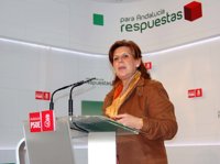 El PSOE-A acusa al PP-A de querer hacer una "causa general" contra todos los socialistas por el caso de los ERE