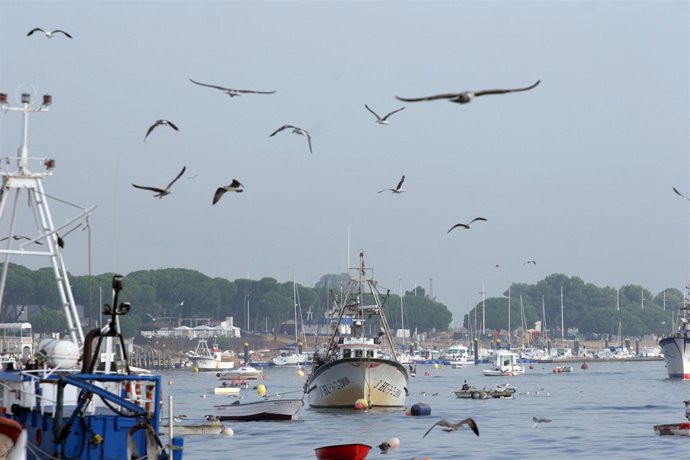 Barcos pesqueros en Huelva