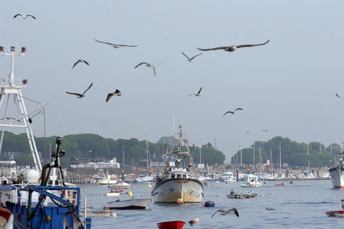 Barcos pesqueros en Huelva