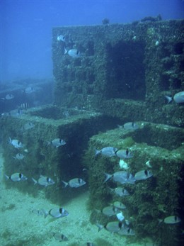 Consejería De Medio Ambiente