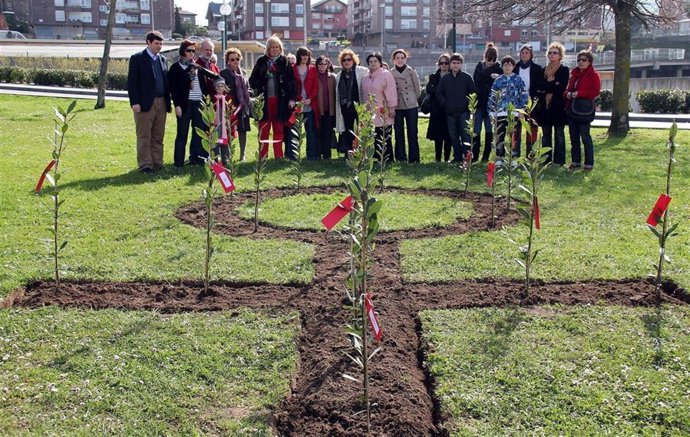 Plantación árboles