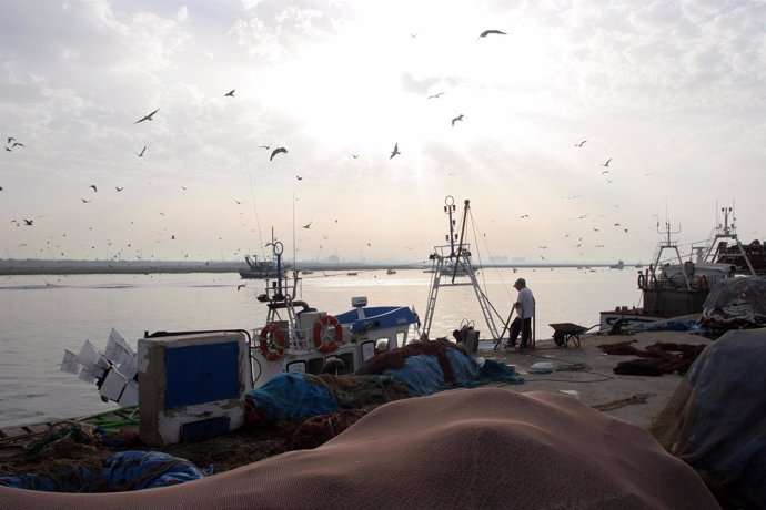 Barcos pesqueros en Huelva