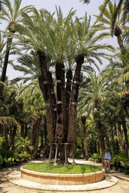 Fundación Félix Rodríguez de la Fuente