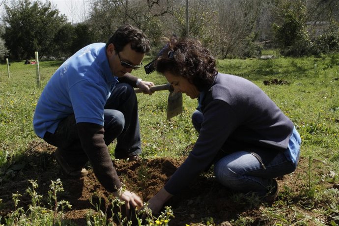Volulntarios en reforestación