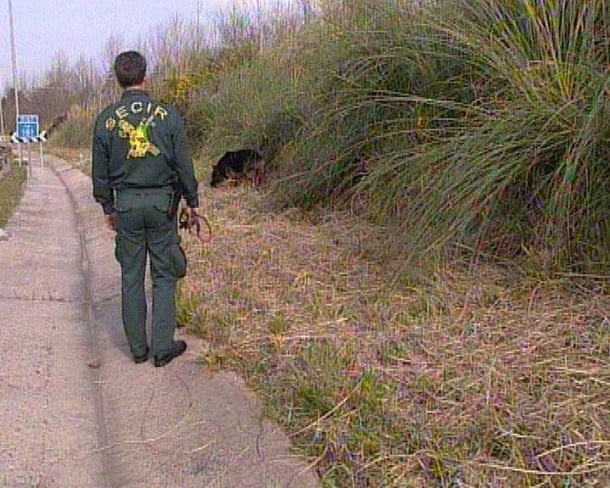 Rastreo Guardia Civil