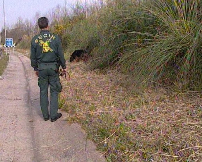 Rastreo Guardia Civil