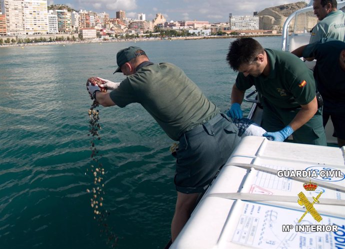 devolución de almejas al mar