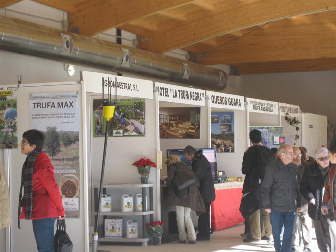 Feria de la Trufa de Sarrión
