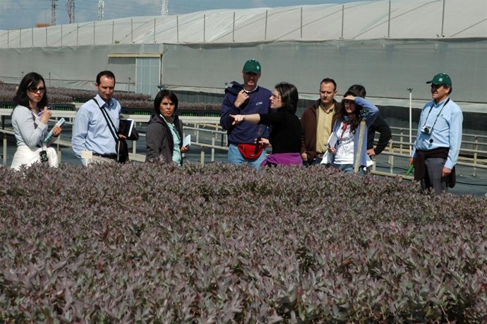 Responsables de Ence muestran a la delegación chilena los programas de investiga