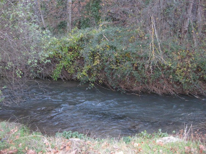 Espacio natural protegido