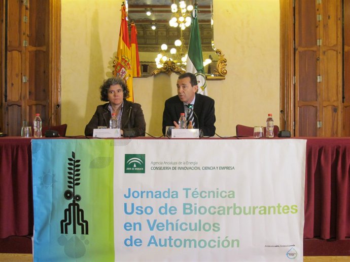 La directora de Recursos Renovables e Infraestructura Energética de la AAE, Marí