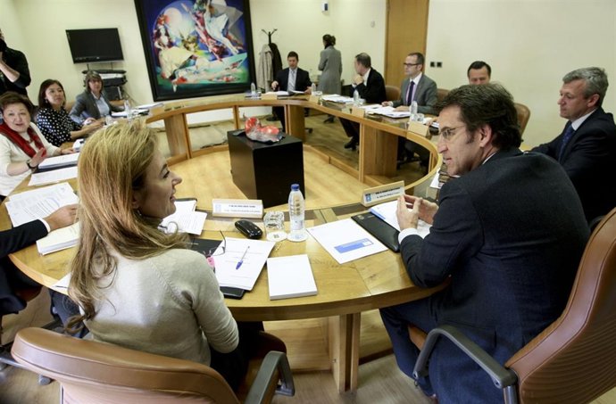 alberto nunez feijoo preside a reunion do consello da xuntafoto: ana varela