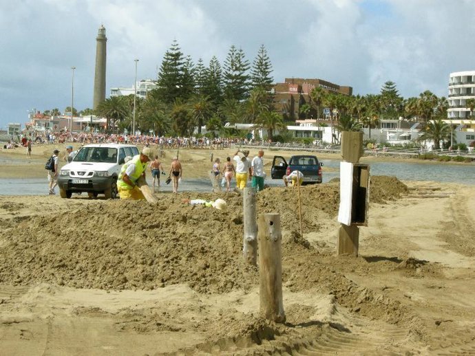 Charca De Maspalomas 