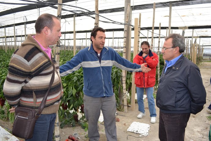 El agricultor afectado Ángel Salas comenta ante Rull y Manrique el destrozo en e