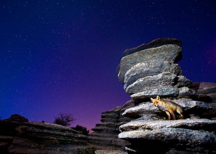  'Una de las fotografías de la exposición de Gerardo Moreno Chinchilla'