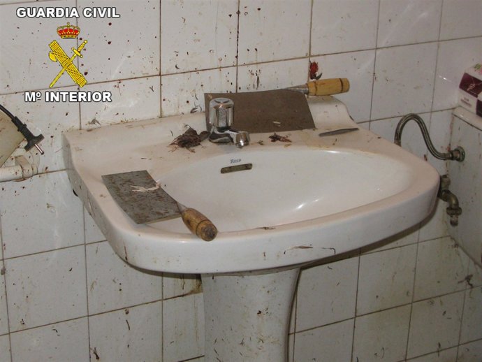 Matadero de patos desmantelado