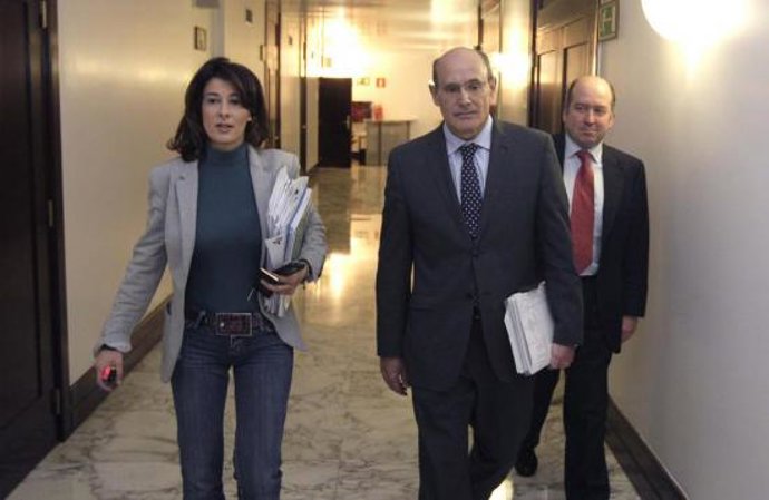 Entrada del consejero de Sanidad a la comisión