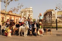 Camino de Santiago con animales